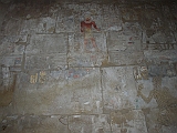 egitto lupo 3 163